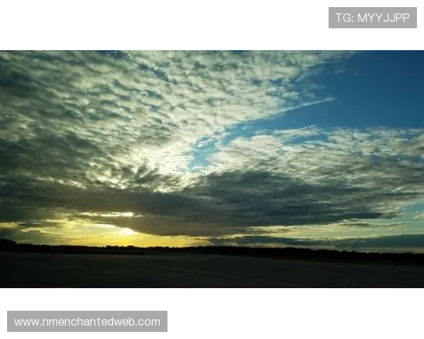 第三金还需耐心等待天公不作美